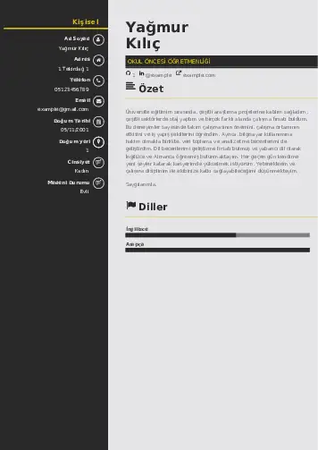 Okul Öncesi Öğretmeni Öğretmenliği Cv Örnekleri cv indir